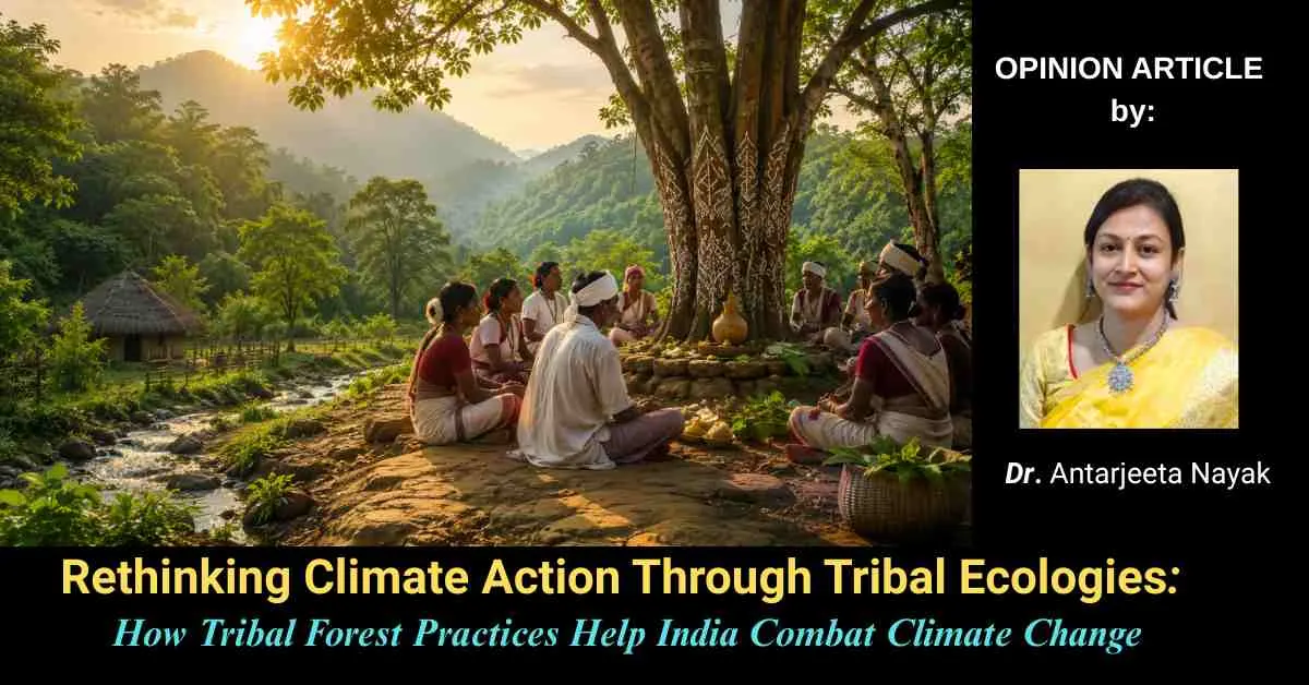 Rethinking Climate Action Through Tribal Ecologies: How Tribal Forest Practices Help India Combat Climate Change